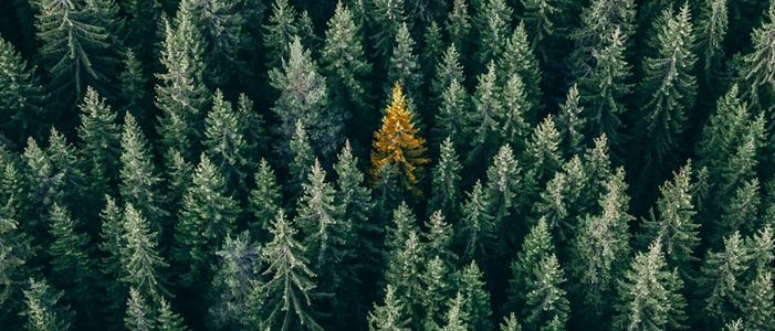 Why Switzerlands regulatory watershed is a strategic opportunity