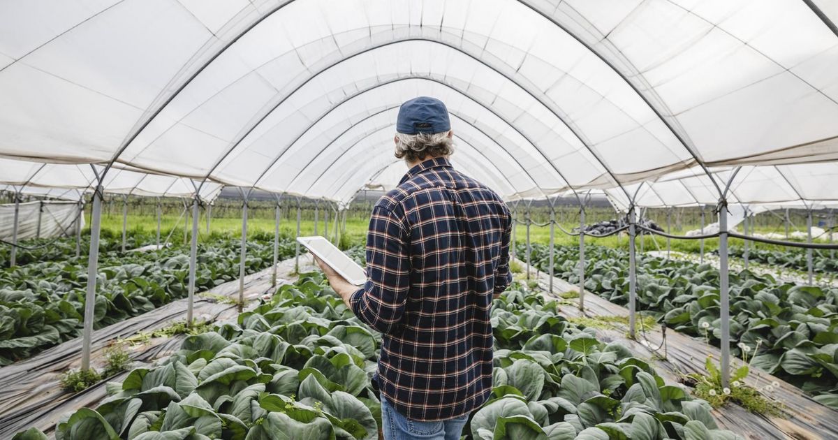 Trends shaping the future: Feeding the world