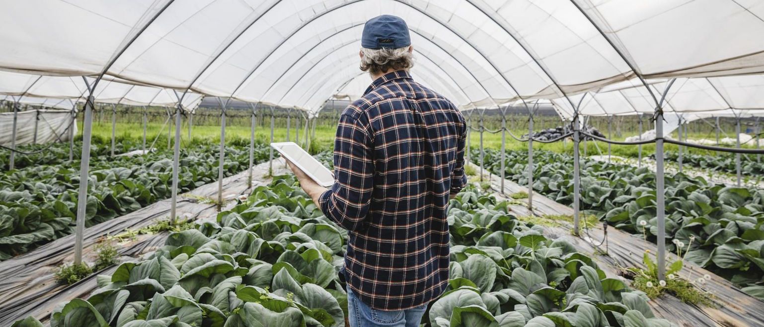 trends-shaping-the-future-feeding-the-world
