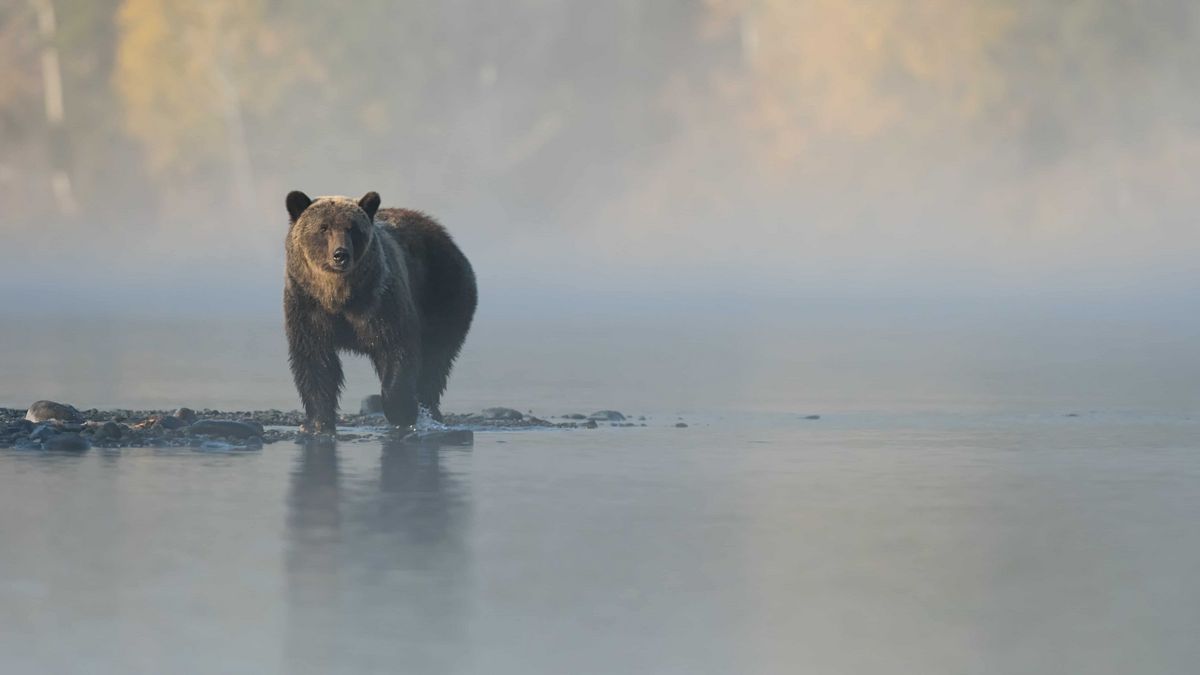 What Does the Bond Bear Mean for Equity Markets? - Bloomberg