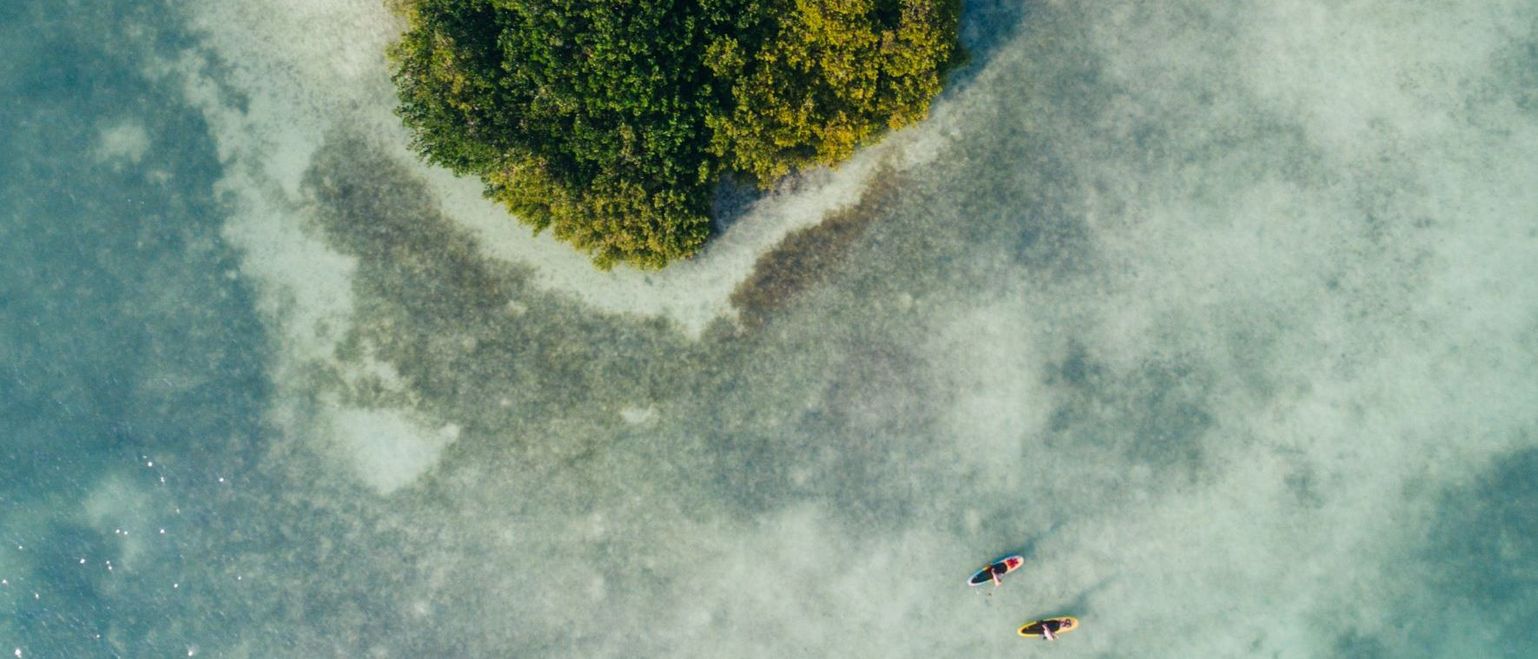 Next Generation megatrends as islands of growth