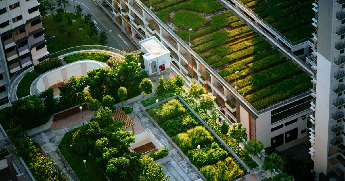 Les tendances qui façonnent l’avenir : Villes du futur | Julius Baer