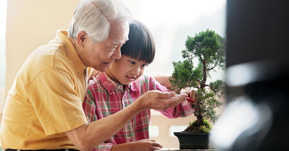 Why life insurance particularly suits high net worth individuals