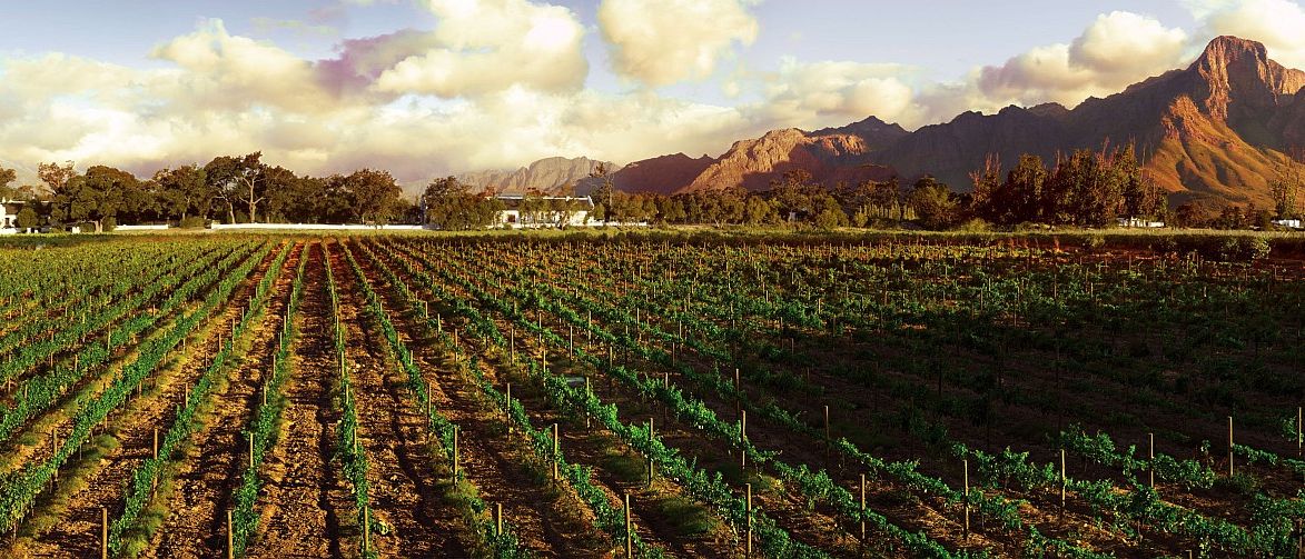 2018 01 12 Solms Delta.Panoramic.2010 MR