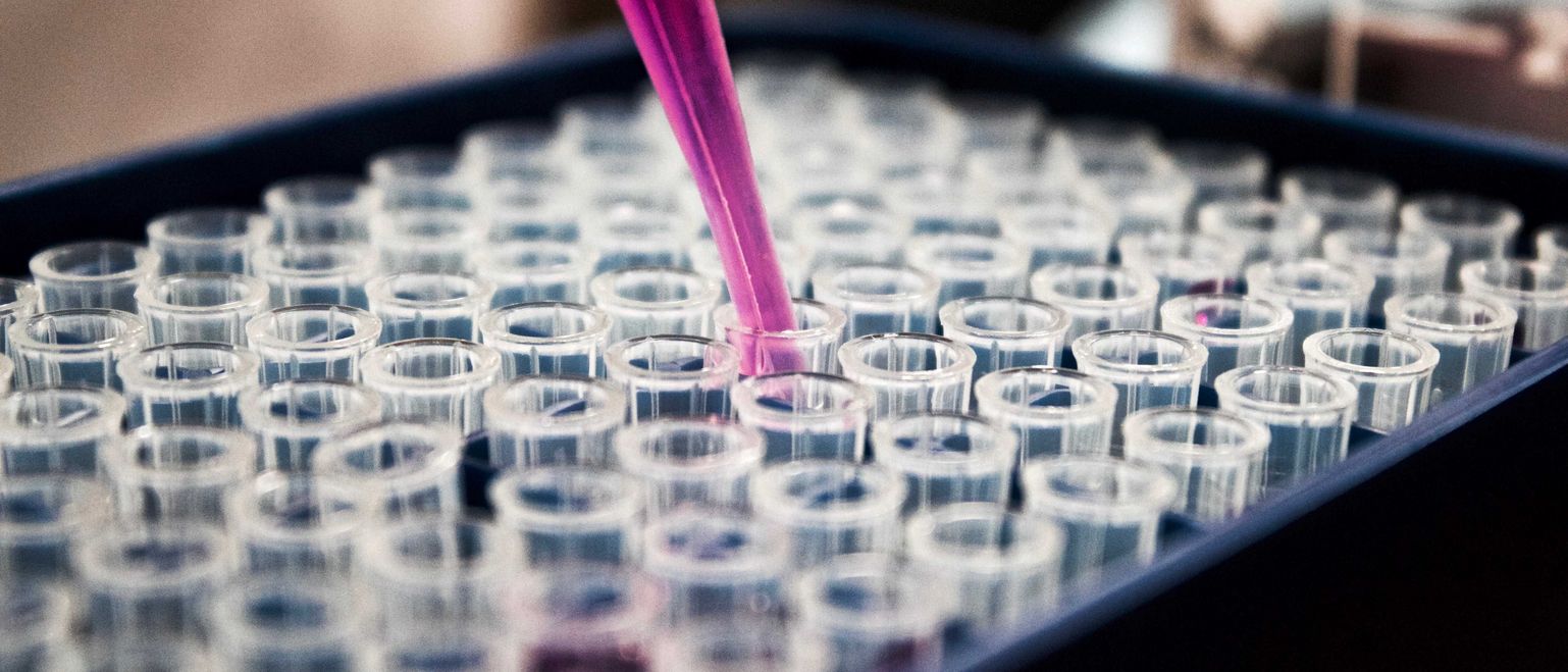 Will biotechnology and healthcare take the lead in the 2020s