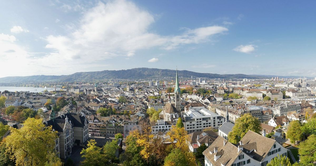 Insights into the Swiss real estate market