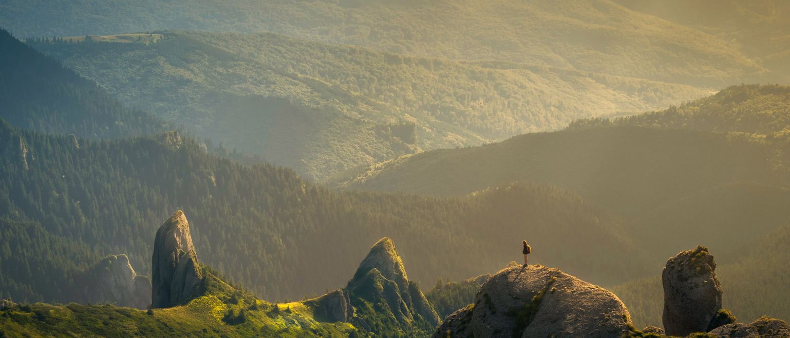 The unstoppable rise of sustainable investing post covid 19