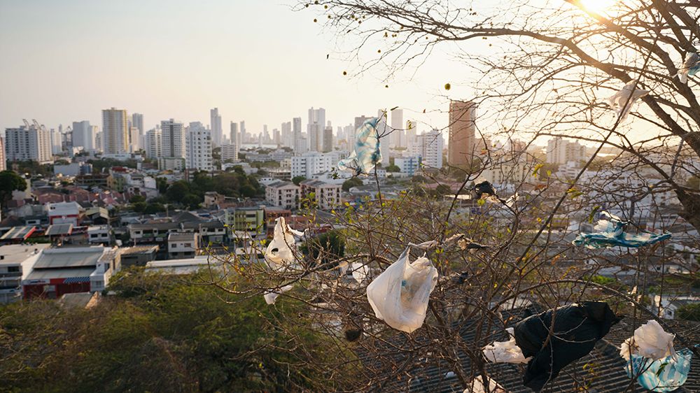 Cartagena small